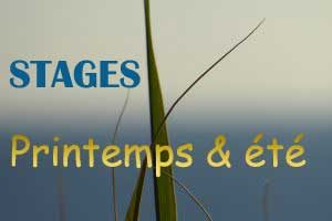 stage-d'écriture-Lyon-printemps-et-été