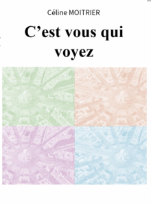 Roman c'est vous qui voyez de Céline MOITRIER