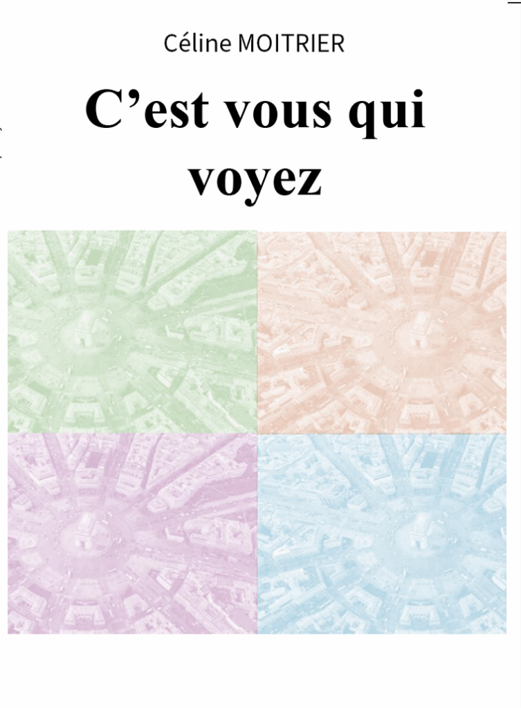 Roman c'est vous qui voyez de Céline MOITRIER